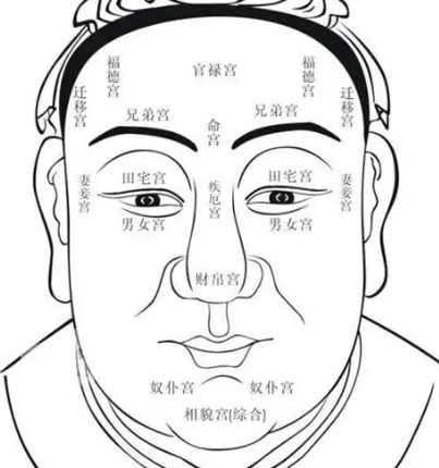 面相十二宫全解析：揭秘各宫含义与象征！