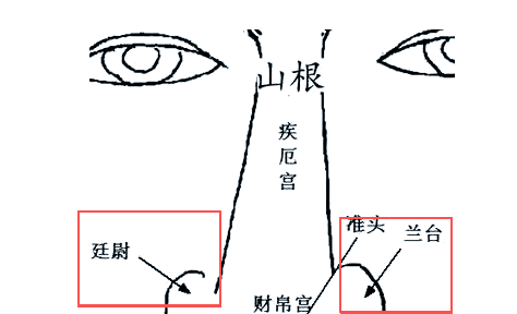 鼻相如何看财富?鼻梁、准头、鼻翼、兰台廷尉,缺一不可!
