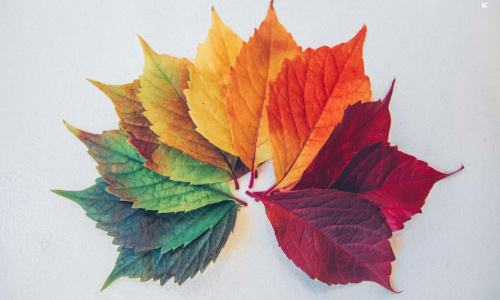 二十四节气起名指南:揭秘出生季节如何影响名字的气质选择!