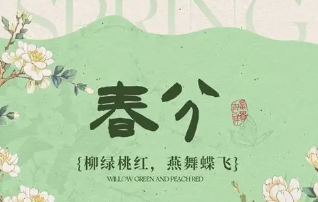 春分节气,昼夜均而寒暑平,阴阳相半,是天地气机转换、万物平衡生长的关键点。生于此时,象征着追求平衡、公正,内心常有两股力量在交织与制衡。年、月、日地支巳、卯、卯木火相生,但天干双己土坐双卯木,构成“七杀攻身”且“日月伏吟”的特殊格局。