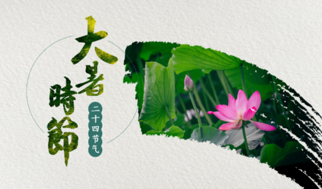 大暑节气,“暑,热也,月初为小,月中为大”,标志着一年中最炎热时期的到来,阳气达到极盛,万物荣华。生于此时,象征着能量与热情达到顶峰,具备极致转化与淬炼的潜能。年、月、日地支巳、未、酉火土金相生,七杀(癸水)透出,日主自坐偏财(酉),代表命主一生在热情、压力、财富与变革中寻求平衡,外表文明,内心自有锋芒。