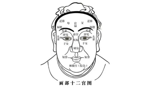 面相十二宫图(二):分析田宅宫、男女宫、奴仆宫的位置与判断方法