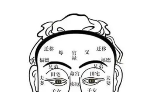 揭秘面相额头代表什么！早年根基、个人智慧