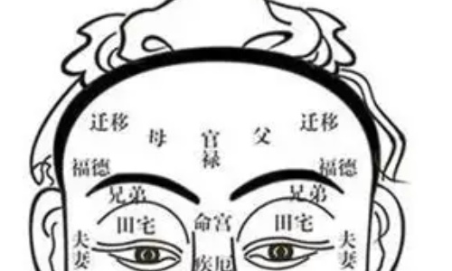 面相入门之眉毛:揭秘性格和兄弟宫的含义!