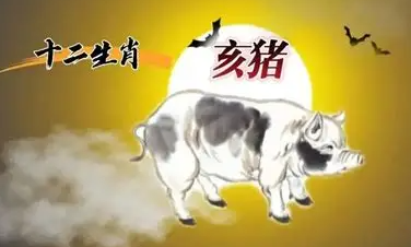 属猪人善良、心软，追求和谐，但在感情中有时会因过于随和而缺乏原则，或因逃避问题而积累矛盾。根据传统生肖文化，与蛇、猴以及同属猪的人交往，可能需要付出更多努力来经营关系。