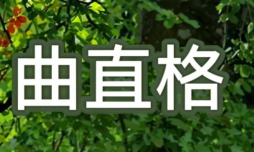 如古木参天,不依不傍:解读“曲直格”的清净人生与深厚福泽