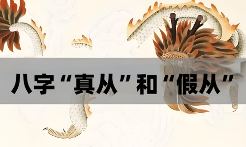 从格的诱惑与陷阱:论“真从”之贵与“假从”之变化