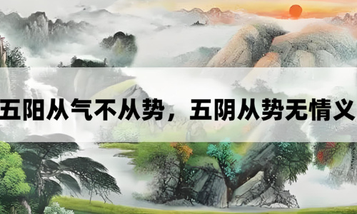 “阳干从气不从势”:从气格所揭示的,关于抉择。