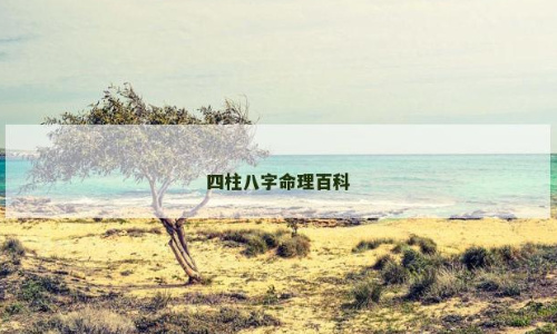 从八字看财运与事业：你的命格是旺财还是劳碌？