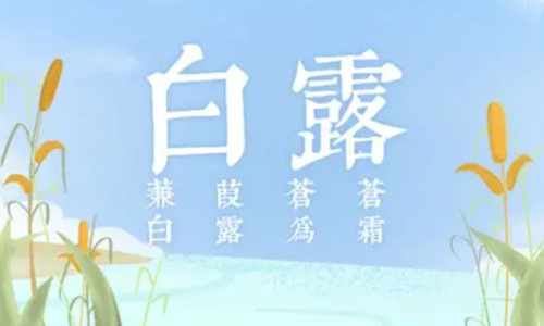 2025白露运势指南：在“金气当权，万物收敛”的乙酉月，调整自己的状态