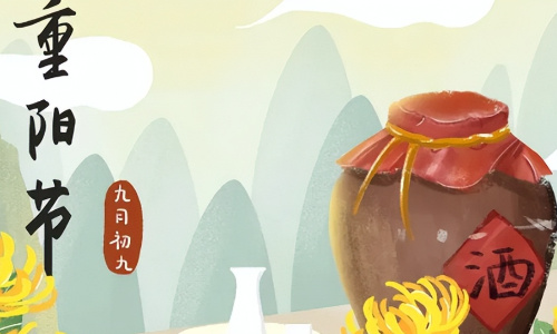专属解读文章