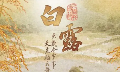 白露出生的孩子有何特点？从生日揭秘个性
