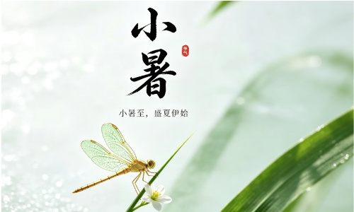 丙午年,节气运势,小暑节气,小暑养生注意事项,小暑是几月几号