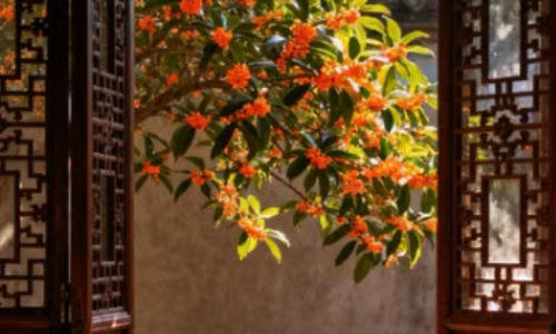 7月22日十天干运势如何?金火相辉,这个日主迎来逆风翻盘