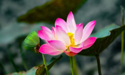 2026年7月26日十天干运势解读：金运透干，看你的日柱今天旺不旺！