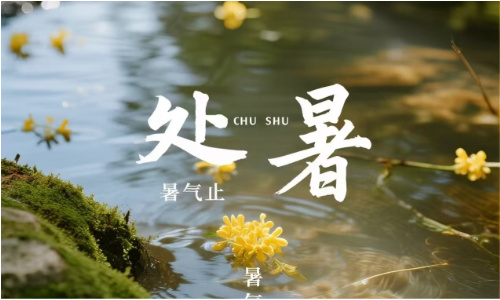 金命人,交运,2026处暑,交运禁忌,八字交运是什么意思,如何判断自己是金命人,金命人什么时候交运