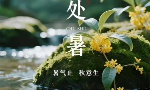 六十载一逢！2026丙午处暑，火年遇收日，你的运势该转了