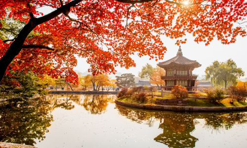 庚辰日,2026年9月3日运势,日主运势,黄历,八字运程,明日运势查询,十天干,黄历宜忌